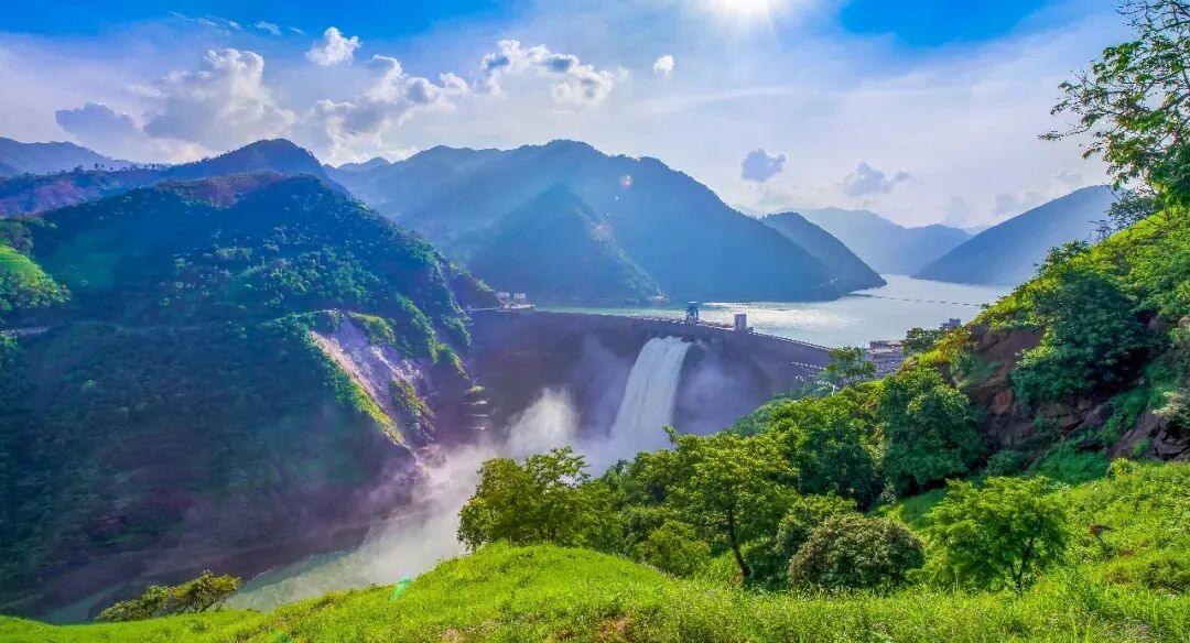 喜报盐边县入选中国天然氧吧