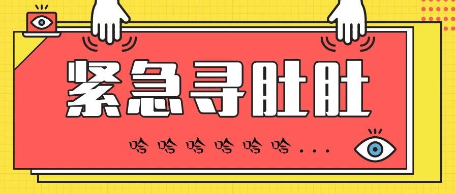 @海南人 价值10000元？这个肚子，有点“东西”哈！