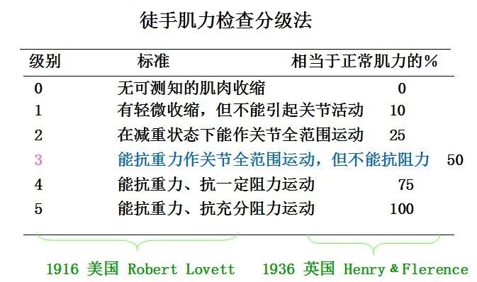 怎么评估病人肌力徒手肌力评估MMT（含评定分级标准及方法）_https://www.jmylbn.com_新闻资讯_第1张