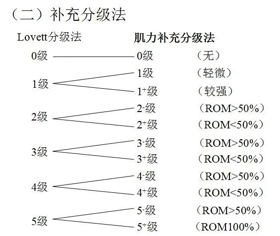 怎么评估病人肌力徒手肌力评估MMT（含评定分级标准及方法）_https://www.jmylbn.com_新闻资讯_第2张