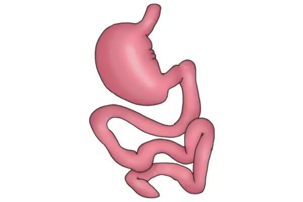 胃镜胶是什么什么是胶囊胃镜，做一次要多少钱，能替代普通胃镜吗？医生告诉你_https://www.jmylbn.com_新闻资讯_第4张