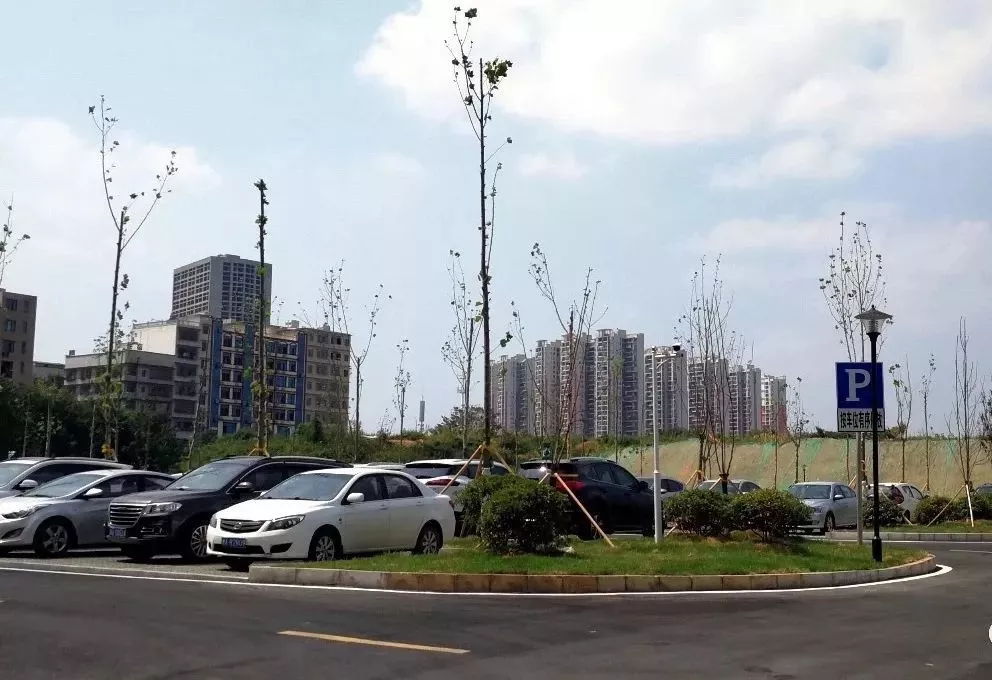 日前,位于望城区的罐子岭站室外公共停车场正式对外开放。长沙晚报全媒体记者 陈焕明 通讯员 毛伟东 摄影报道