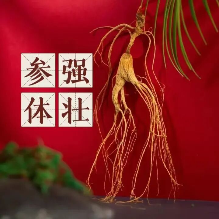 竹火罐怎么用小竹罐，大作用！头部、肩颈、关节都能拔罐！_https://www.jmylbn.com_新闻资讯_第13张