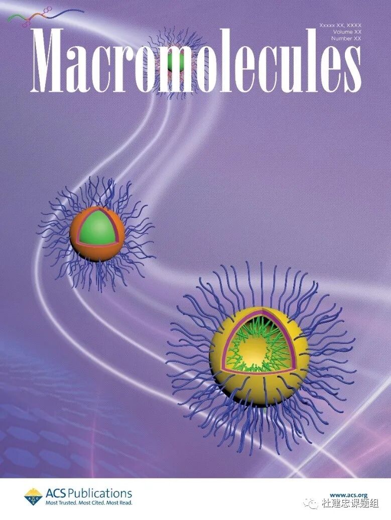 同濟(jì)大學(xué)杜建忠教授課題組Macromolecules封面論文：完全非對(duì)稱冠囊泡的圖1