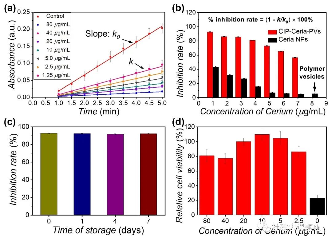 同濟杜建忠教授團隊《ACS Nano》：抗菌又祛活性氧功能的高分子囊泡，實現糖尿病潰瘍快速愈合的圖3