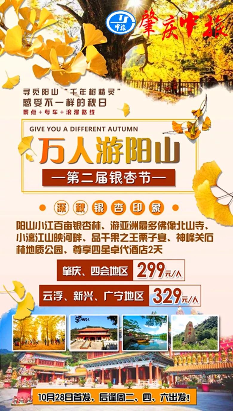 万人游阳山第二届银杏节 小江百亩银杏林 游亚洲最多佛像北山寺 小漓江山映河畔 神峰关石林地质公园 品千果之王栗子宴2天 肇庆中旅