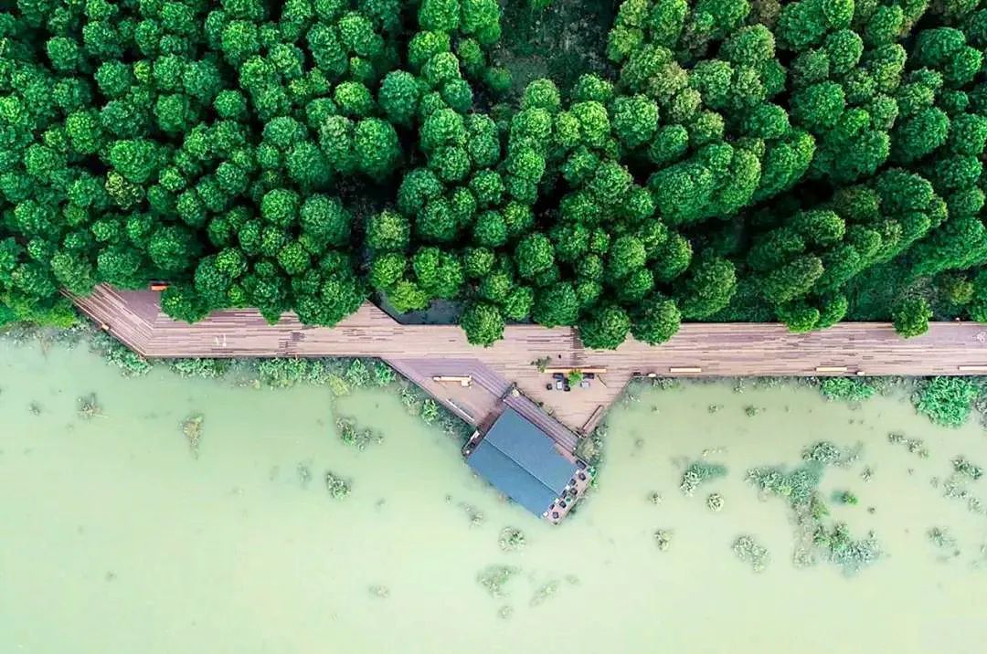 杭州西湖到杭州东站多远_杭州东站到西湖_西湖到杭州火车东站