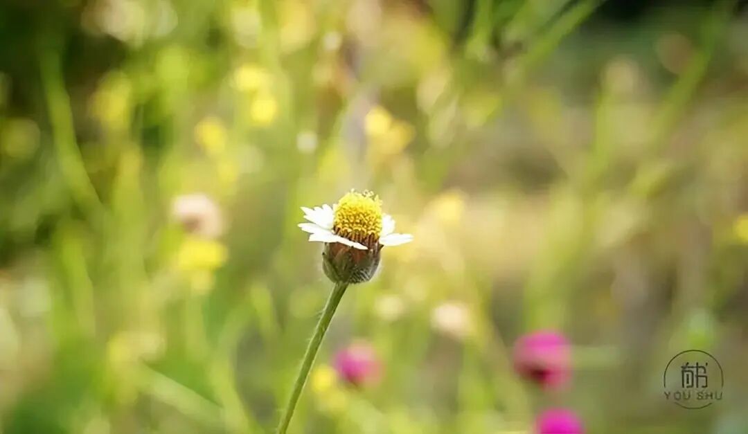 高情商的人，都有这10大说话习惯！ 