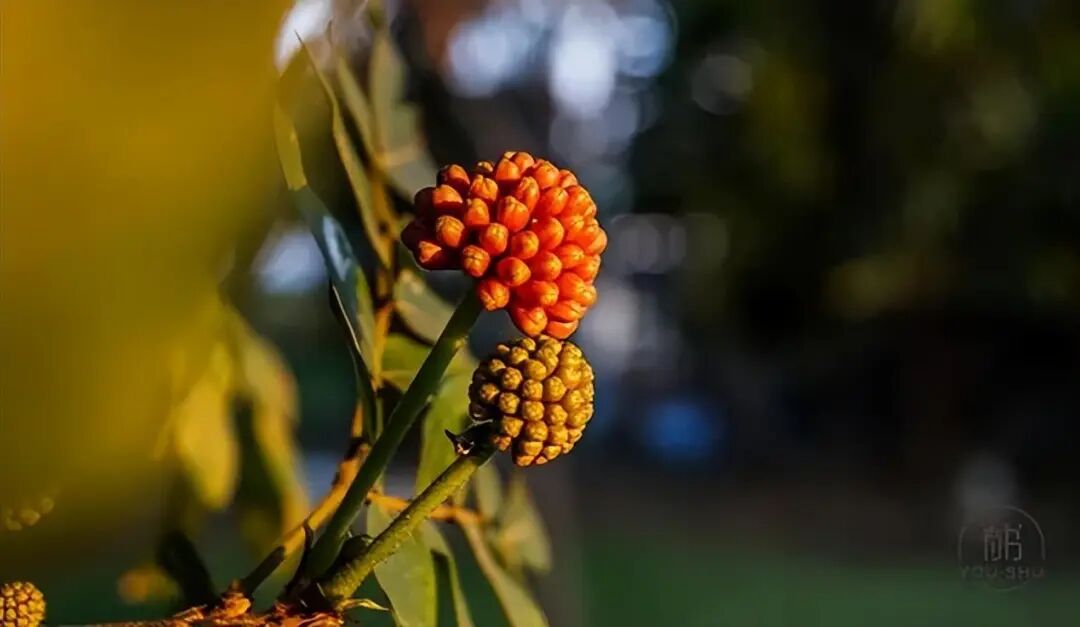 高情商的人，都有这10大说话习惯！ 