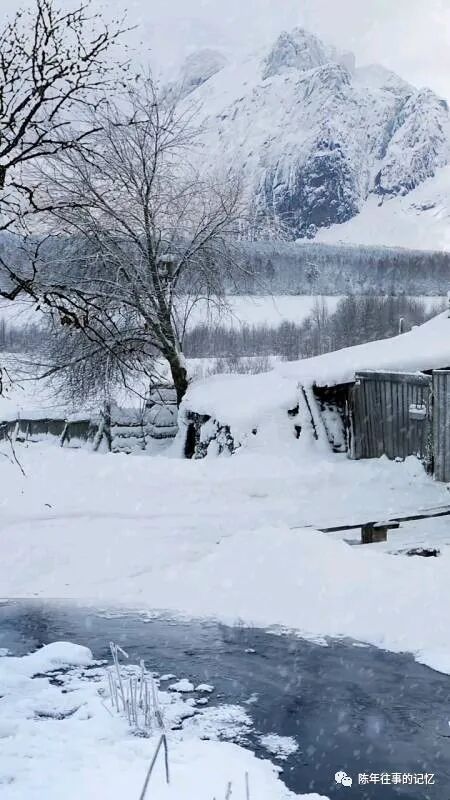 贾立军:乡音无改(图3)