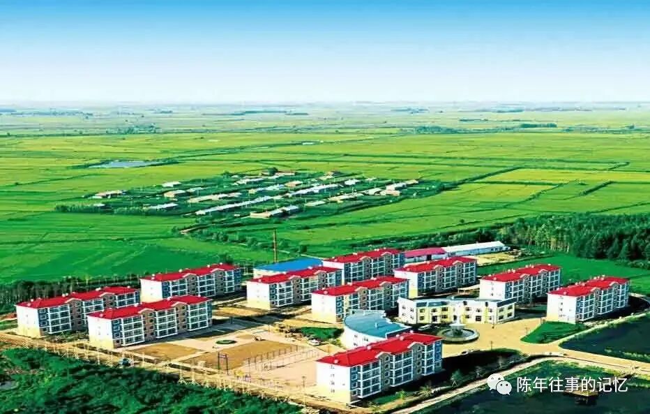 贾立军:乡音无改(图6)