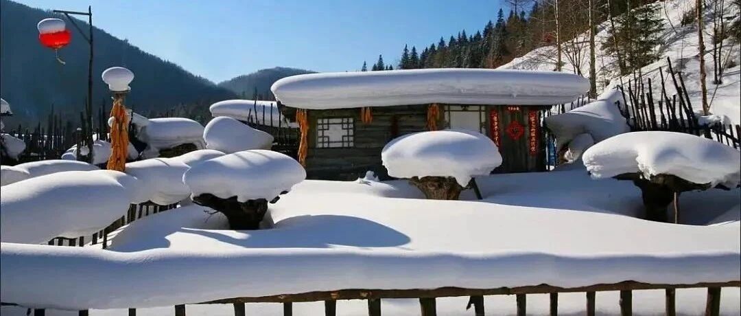 又来了，雪乡烤肠15元一根？当地官方回应卖得并不贵