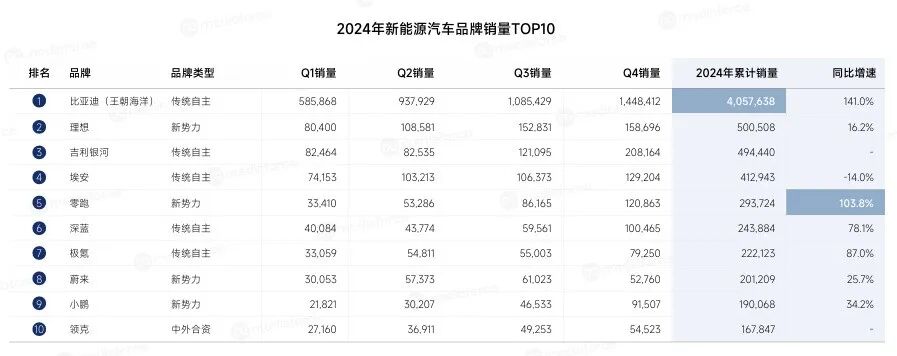 2024年新能源汽车品牌销量图