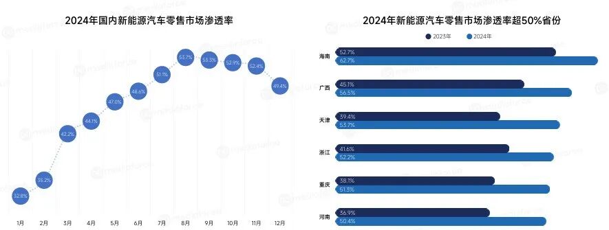 2024年国内新能源汽车零售市场分布图