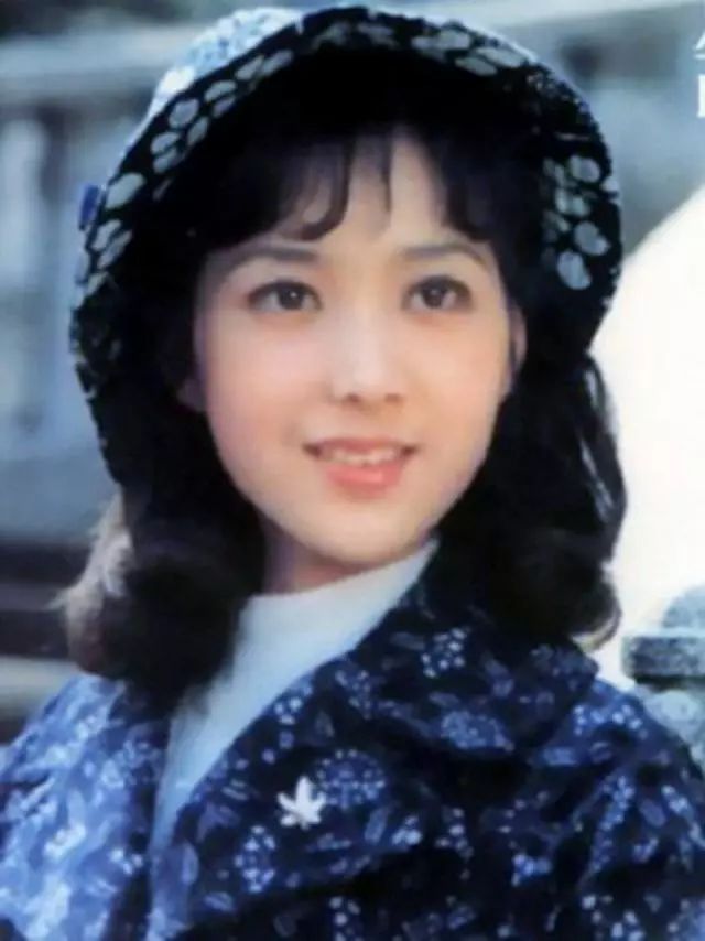 八十年代电视剧秋海棠图片