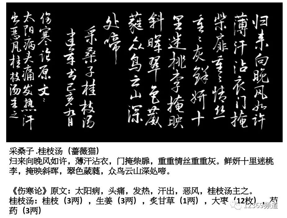 科学网 伤寒论 经方诗词书法卡片 桂枝汤 全 孙建军的博文