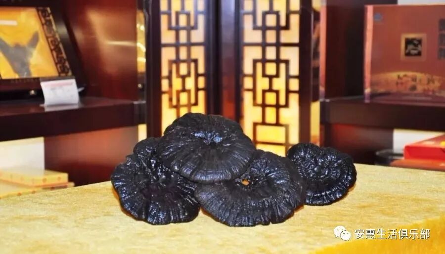 这八大疾病，灵芝有十分显著的功效。