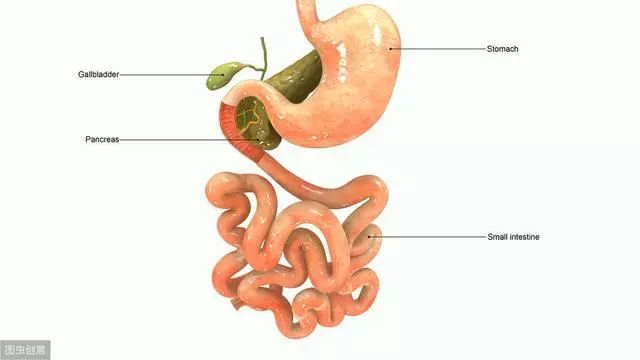 科普丨胆囊炎的饮食宜忌及食疗妙方 不要将它拖成并发症 瑜伽与养身分享 微信公众号文章阅读 Wemp