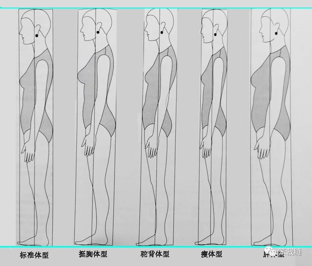 服装基础知识简讲(男女差异,标准体型,裁片名称,用料估算等)