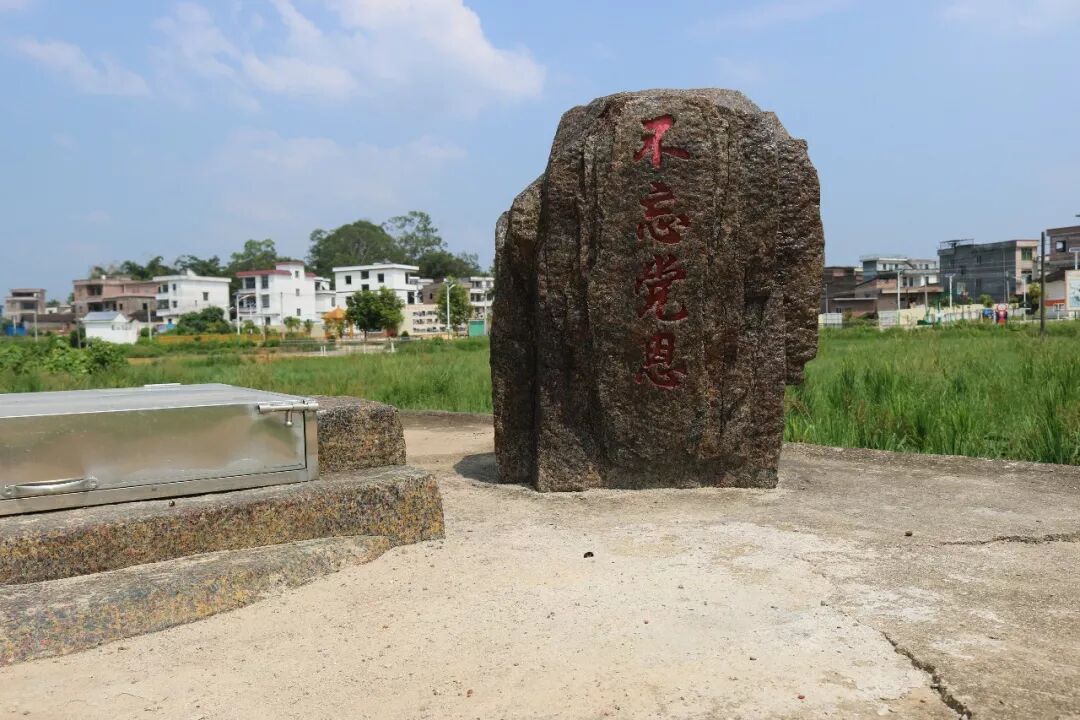 乡村振兴连麦镇新农村建设显成效