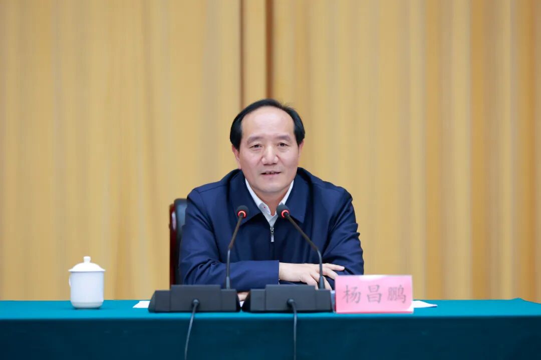 王成刚,王勋勇,程华恩,贺未泓,张洪,汪文学,栾雁,赵温跃,杨平,何晓东