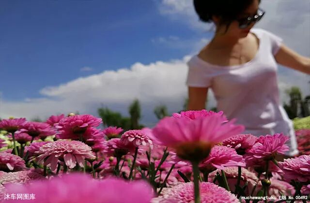 梦见杀猪是什么预兆_预兆杀猪梦见是什么意思_梦里看见杀猪