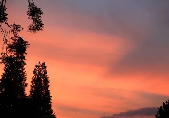 华盖是什么意思 俗语：女带咸池门外养汉，男带华盖富贵不愁，这指的是啥