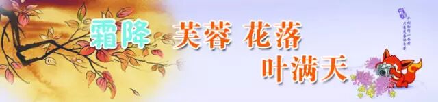 今日霜降 ~ 全家这么做 ~ 一年少生病！ - 第2张