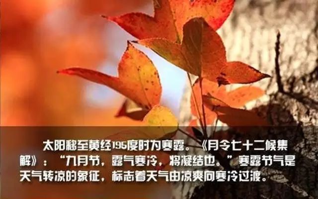医圣实业