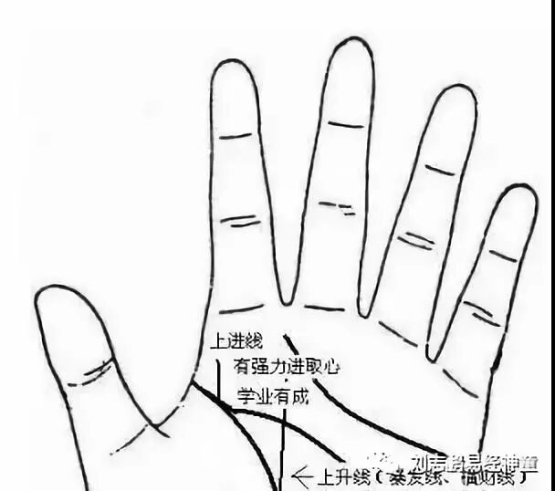 这几种手相的人有偏财运 你有嘛 刘志鹏易经神童 微信公众号文章阅读 Wemp