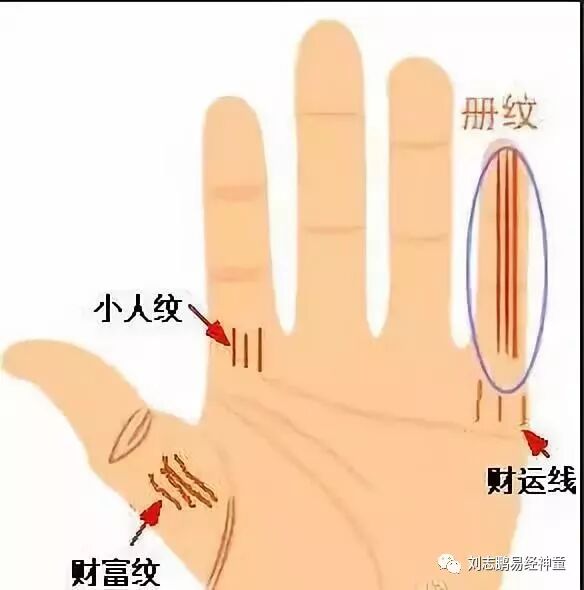 这几种手相的人有偏财运 你有嘛 刘志鹏易经神童 微信公众号文章阅读 Wemp