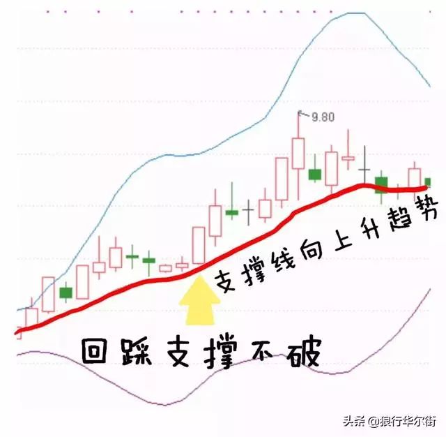 股票小白怎样成长起来