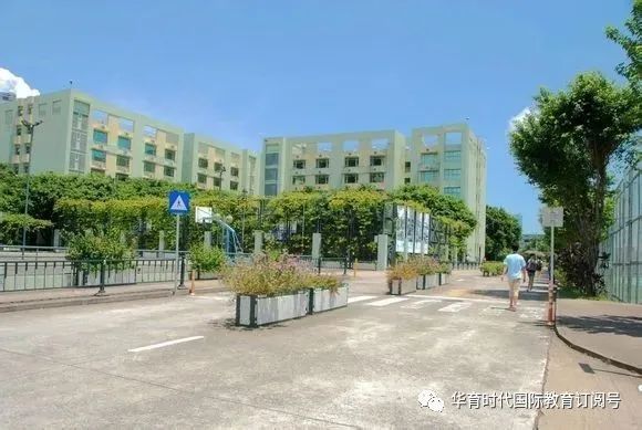 澳门科技大学全球排名_澳门科技世界大学排名_澳门科技排名大学全球第几