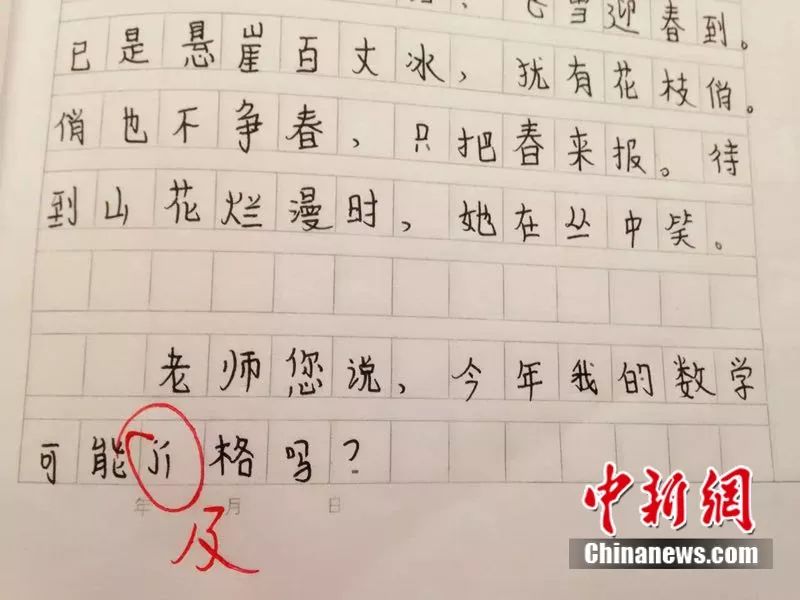 「老師，你今天像白骨精」這些小學生的作業笑死了，老師的評語更牛！ 戲劇 第6張