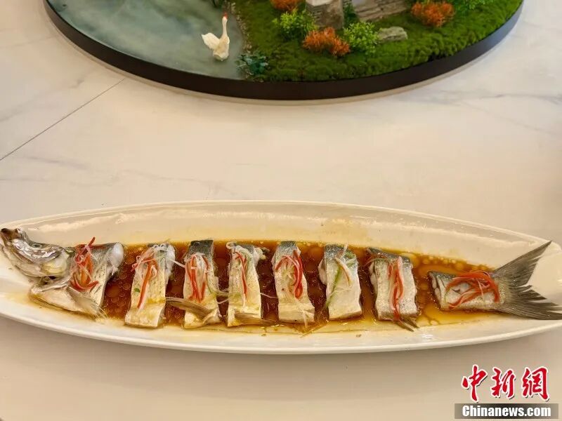 清蒸白刁。卢梦梦 摄.jpg