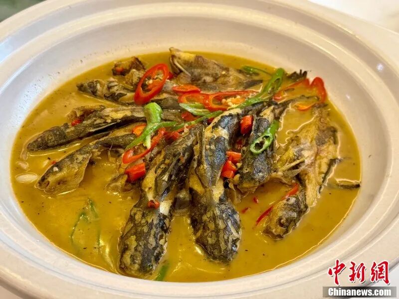 红烧黄丫头。 卢梦梦 摄.jpg