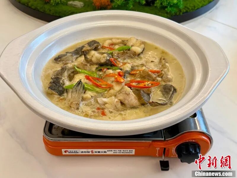 白汁鮰鱼。 卢梦梦 摄.jpg