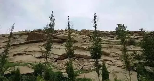 矿山复绿到底是什么?如何复绿?附10种主要复绿技术方法