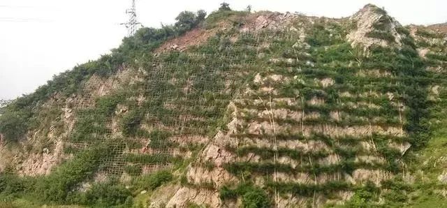 矿山复绿到底是什么?如何复绿?附10种主要复绿技术方法