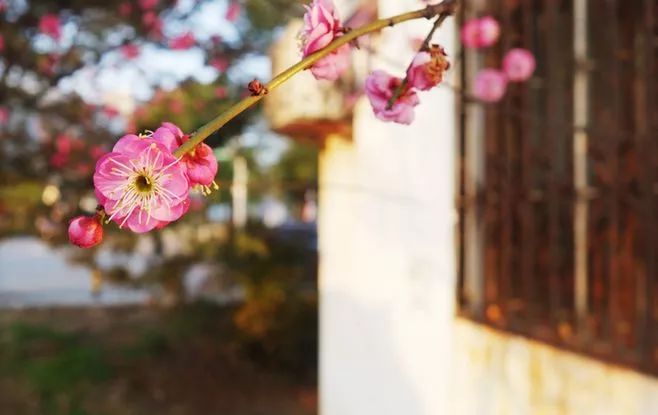 《春秋》中的人生哲理，每一句都很經典！ 歷史 第6張