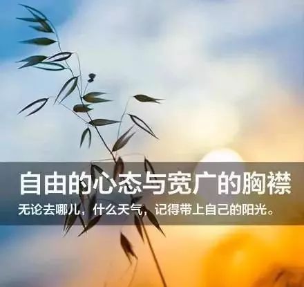 我们常常看到的风景是:一个人总是仰望和羡慕着别人的幸福,一回头,却