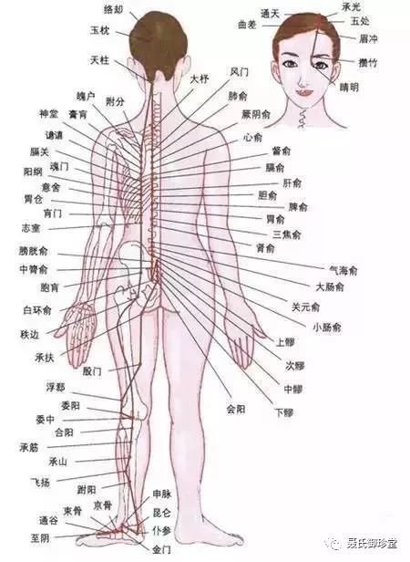 膀胱经的13项妙用丨身体不舒服，调调膀胱经