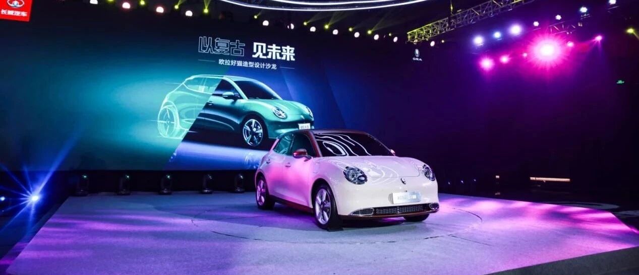 从设计开始，细品欧拉好猫