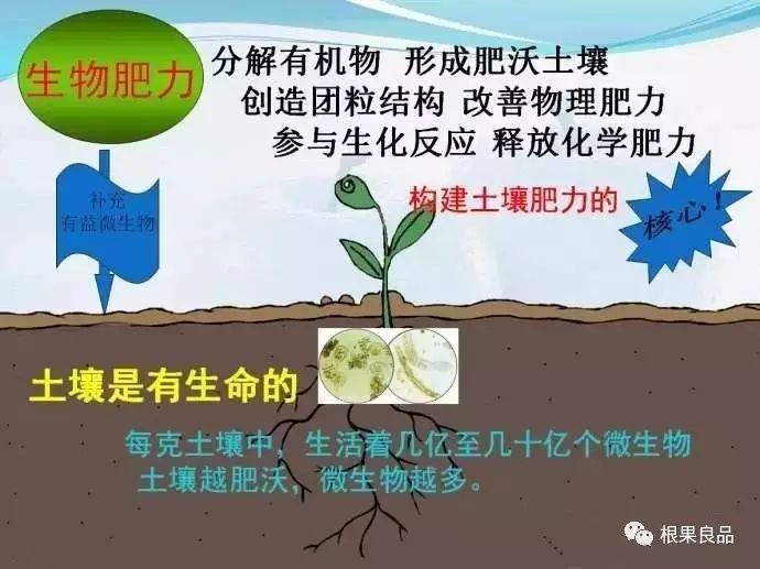 改善土壤理化性状,增强土壤保水,保肥,供肥的能力.