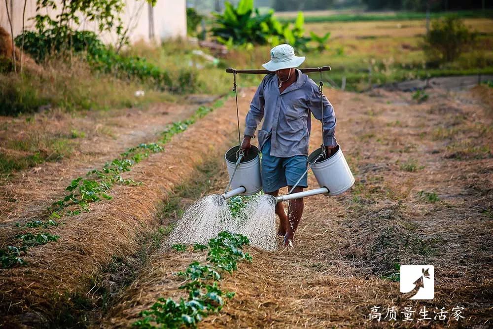 母子1死1休克，這種「致命菌」​​你家可能也有，千萬謹慎！ 親子 第2張