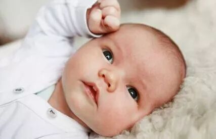 早产儿智力发育测试