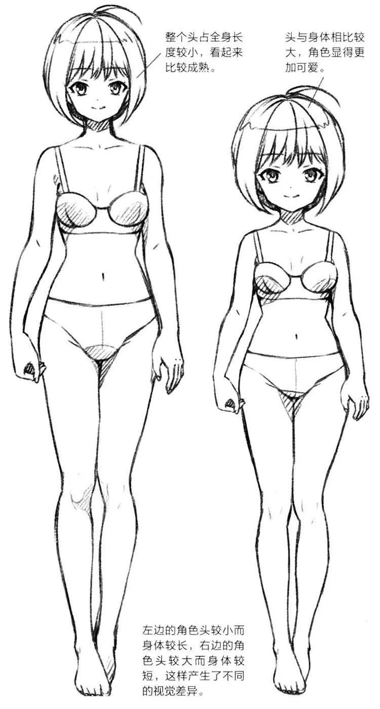 pssai转手绘教程零基础画漫画入门知识确定人体的比例头身比与肩宽比