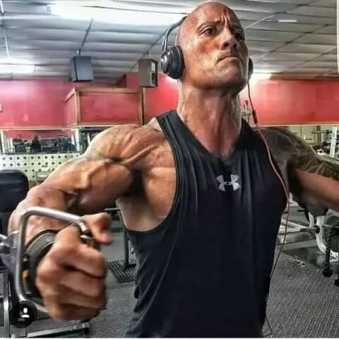 三角肌前束在哪里_三角肌前束_三角肌前束在哪个位置图片