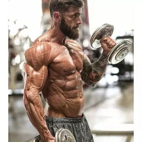 三角肌前束在哪个位置图片_三角肌前束_三角肌前束在哪里