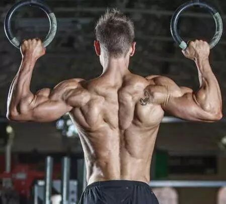 三角肌后束容易被忽视 3个动作强化三角肌后束 练出饱满肩部 全球健身club 微信公众号文章阅读 Wemp